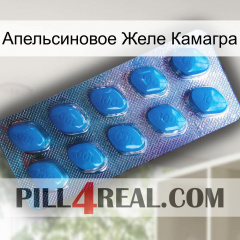 Апельсиновое Желе Камагра viagra1